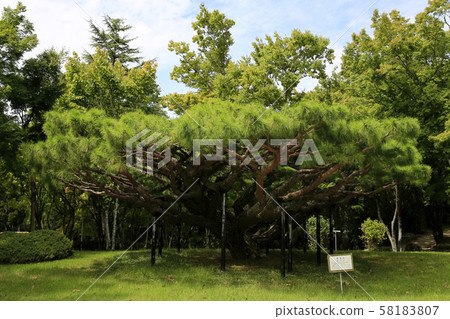 慶州佛國寺,宋觀音 慶州佛國寺,宋觀音 58183807