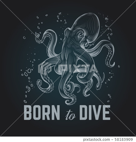 Octopus poster. Born to dave vintage hand drawn chalk diving background. Octopus scuba retro vector Octopus poster. Born to dave vintage hand drawn chalk diving background. Octopus scuba retro vector 58183909