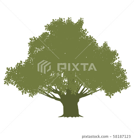 Olive tree isolated on white Olive tree isolated on white 58187123