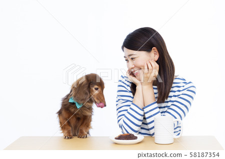 30多歲的女性和微型臘腸犬 58187354