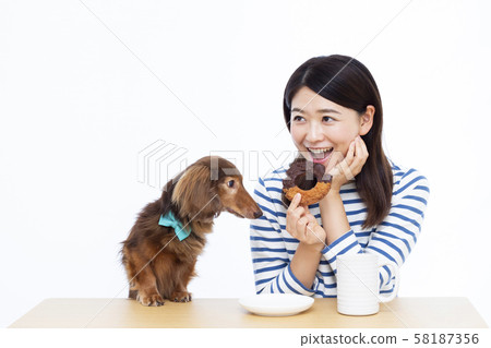30多歲的女性和微型臘腸犬 58187356