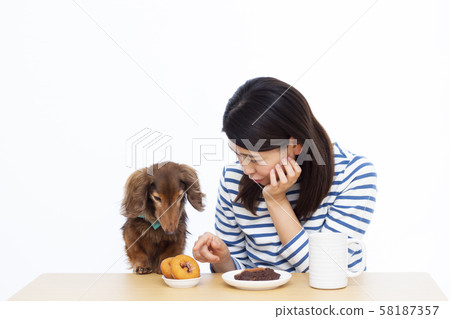 30s female and miniature dachshund 30s female and miniature dachshund 58187357