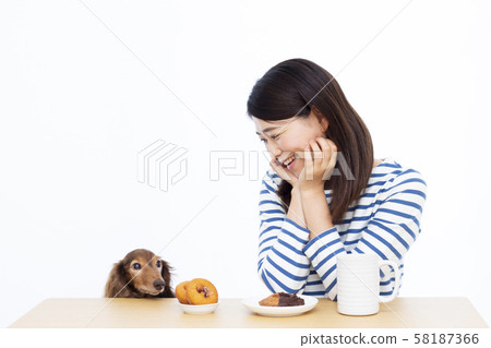 30多歲的女性和微型臘腸犬 58187366