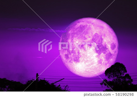 super dark harvest piurple moon on night sky back super dark harvest piurple moon on night sky back 58190298