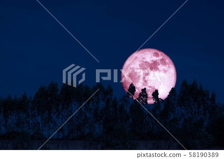 harvest pink moon on night sky back over harvest pink moon on night sky back over 58190389