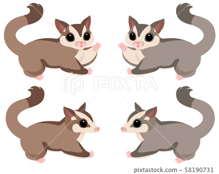 福龍猴全身插圖集 福龍猴全身插圖集 58190731