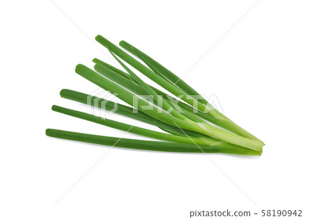 Green onion isolated on the white background 58190942