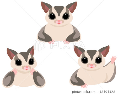 Owl's bust up pose illustration set (gray) 58191328