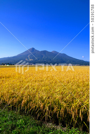 Inaho and Hiyama (Fukushima Prefecture, Inawashiro Town) 58191788