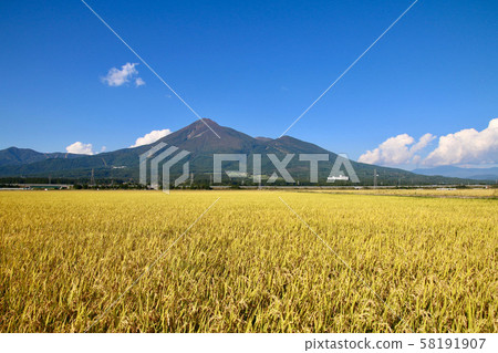 Inaho和Hiyama（福島縣豬苗代町） 58191907