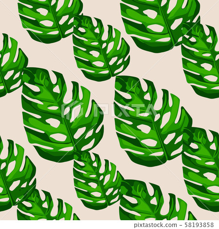 Monstera leaves seamless patern. Botanical leaf 58193858