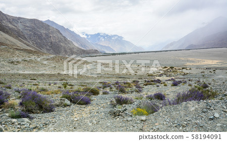 Mountainscape of Ladakh, North of India 58194091