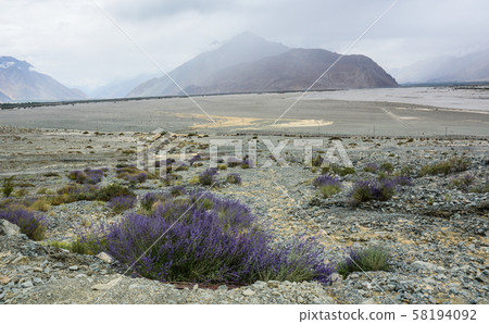 Mountainscape of Ladakh, North of India 58194092