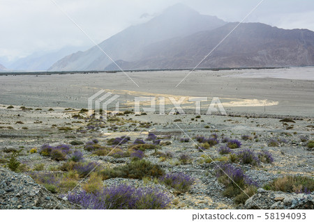 Mountainscape of Ladakh, North of India Mountainscape of Ladakh, North of India 58194093