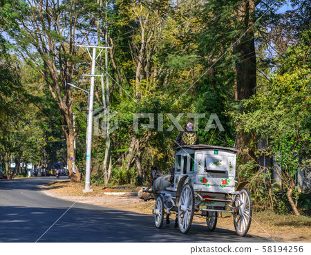 Horse carts in Pyin Oo Lwin, Myanmar 58194256