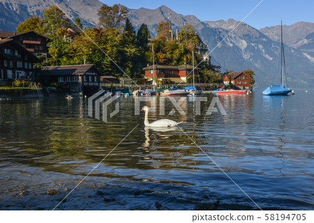 Beautiful scenery of Lake Brienz, Switzerland 58194705