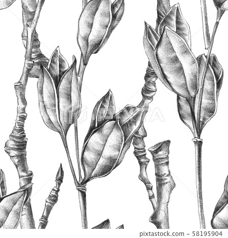 Sketch Of Wilted Flowers Stock Illustration 58195904 Pixta