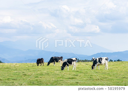 Mikigahara ranch 58195979