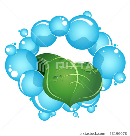 Blue drops of water and green leaf Blue drops of water and green leaf 58196078