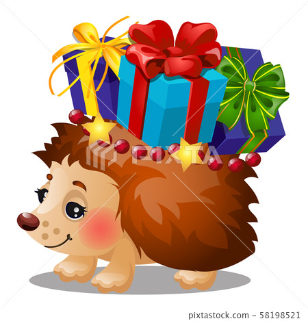 Hedgehog carries a box with Christmas gifts with colored ribbon bow isolated on white background Hedgehog carries a box with Christmas gifts with colored ribbon bow isolated on white background 58198521