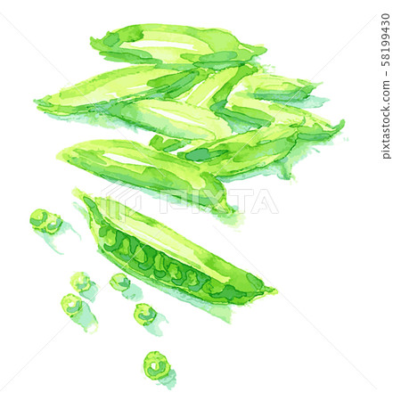 青豆 青豆 58199430