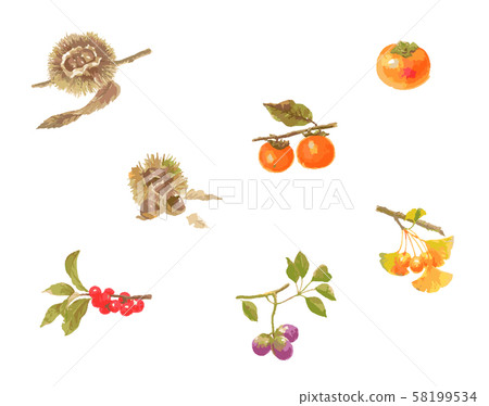 Autumn plant various set Autumn plant various set 58199534