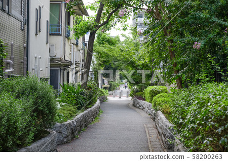 The promenade of Koenji, Tokyo 58200263