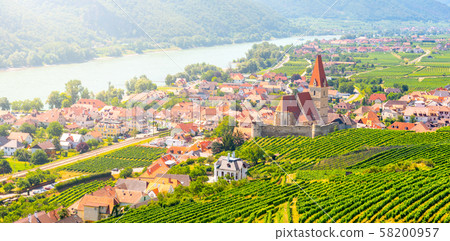 Sunny day in Wachau Valley. Landscape of vineyards and Danube River at Weissenkirchen, Austria 58200957