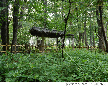 相模原北公園（其他森林） 58201972