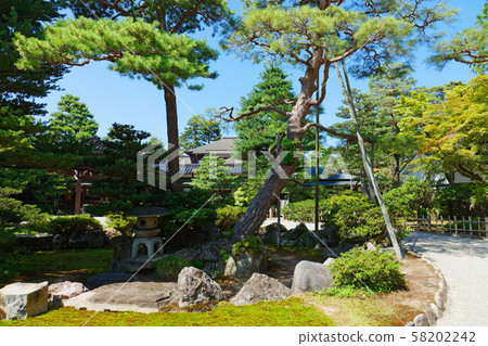 Seigekaku garden pine pheasant 58202242