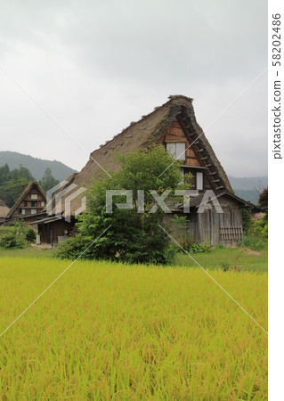 Shirakawa-go in Inaho Shirakawa-go in Inaho 58202486
