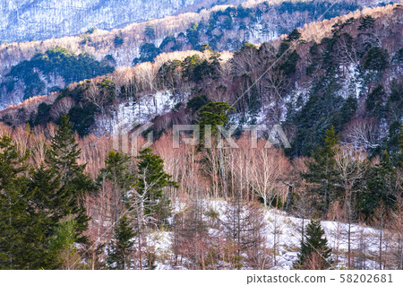 Winter mountain pattern Winter mountain pattern 58202681
