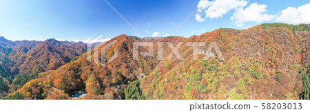 秋葉的鳥瞰圖，群馬縣梅根大橋的風景，秋天 58203013