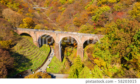 秋葉的鳥瞰圖，群馬縣梅根大橋的風景，秋天 58203015