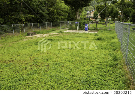 精機服務區下線狗跑兵庫丹波筱山市 58203215