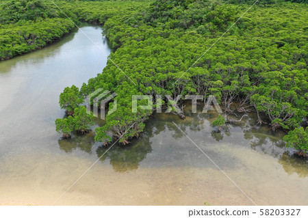 From above the Hirugi community of the Fukitsu River 58203327