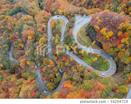 Aerial view Nikko no Irohazaka, autumn leaves 58204729