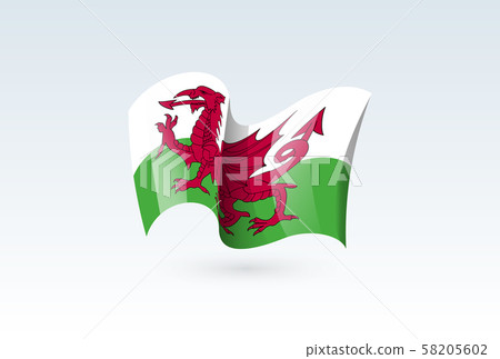 waving flag vector icon, national symbol, 58205602