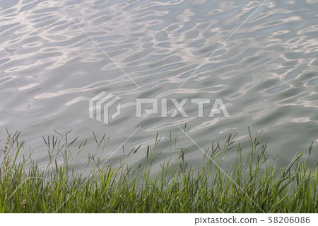 Water surface with ripples and sunlight Water surface with ripples and sunlight 58206086