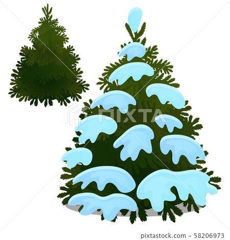 Spruce covered with snow isolated on a white background. Sketch of Christmas festive poster, party 58206973