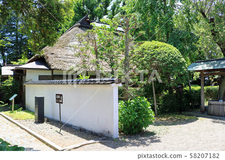 高原原 高原原 58207182