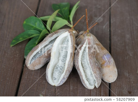 Fruitful autumn akebi fruit Fruitful autumn akebi fruit 58207909