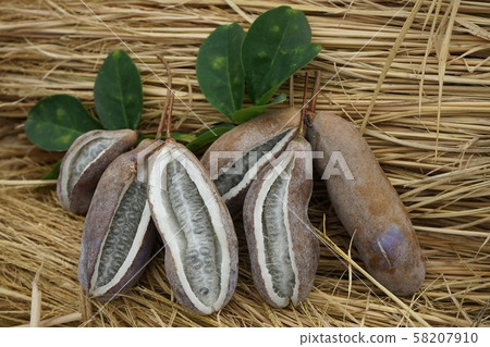 碩果累累的秋天阿克比水果 58207910