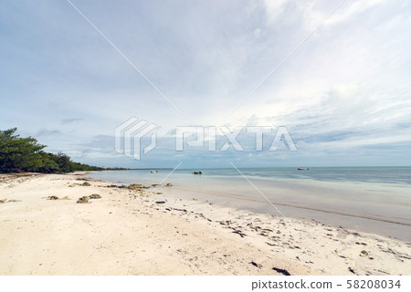 新喀裡多尼亞忠誠島Ouvea島Onya海灘 新喀裡多尼亞忠誠島Ouvea島Onya海灘 58208034