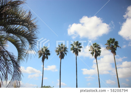 北九州市綜合農業中心 北九州市綜合農業中心 58208794