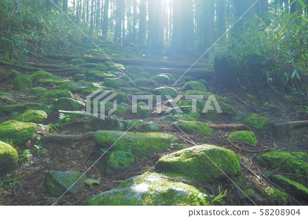 Kumano Kodo Kumano Kodo 58208904