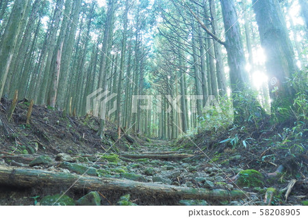 Kumano Kodo Kumano Kodo 58208905