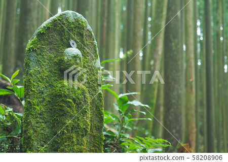 Kumano Kodo Kumano Kodo 58208906