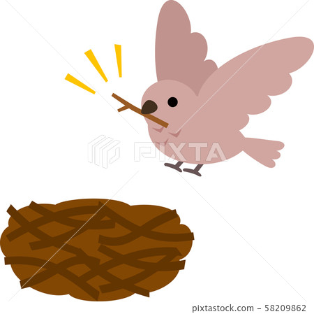 野鳥在樹枝上carrying著樹枝 野鳥在樹枝上carrying著樹枝 58209862