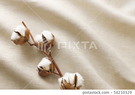Cotton linen Cotton linen 58210329